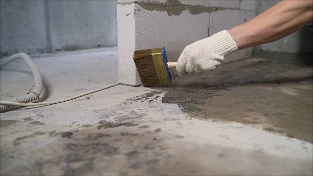 SJ Waterproofing Pros Waterproofing coverage map for DuPont, WA and surrounding area
